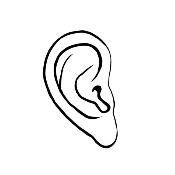 Ухо чб для детей