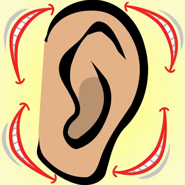 Ухо мультяшное