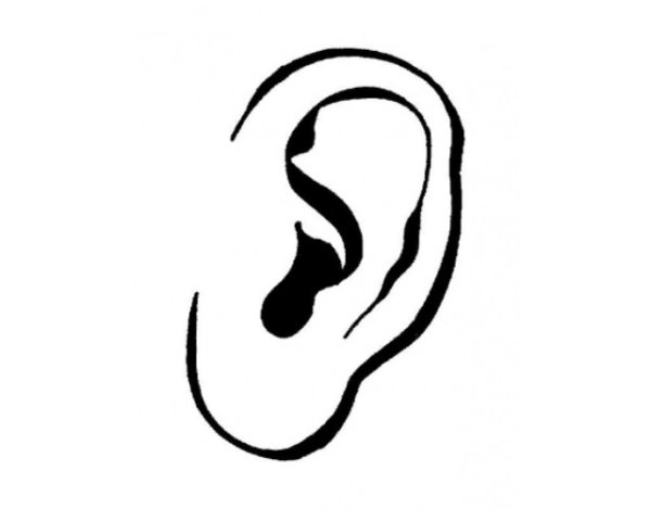 Ухо черно белое