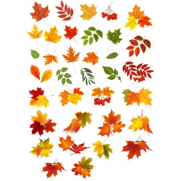 Уютные осенние наклейки