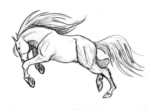 Лошадь карандашом для срисовки