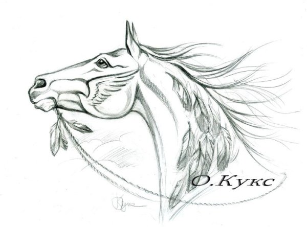 Лошадь эскиз простой