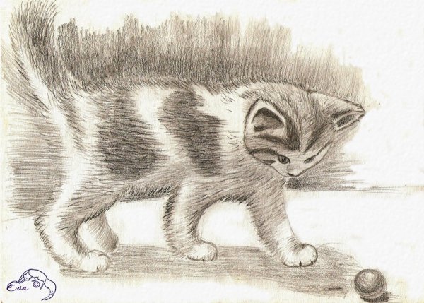 Рисунки простым карандашом животные