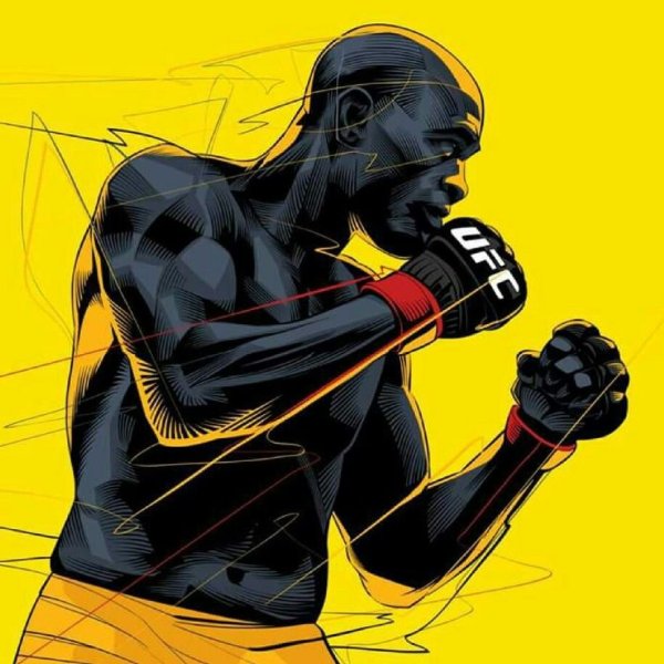 Андерсон Силва арт