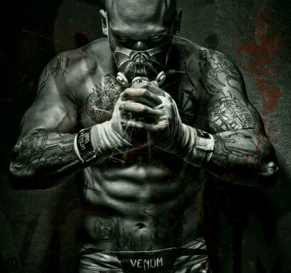 ММА арт Хабиб