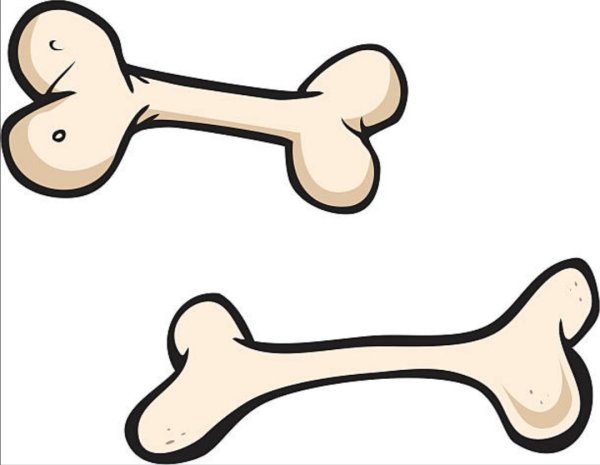 Косточка рисунок