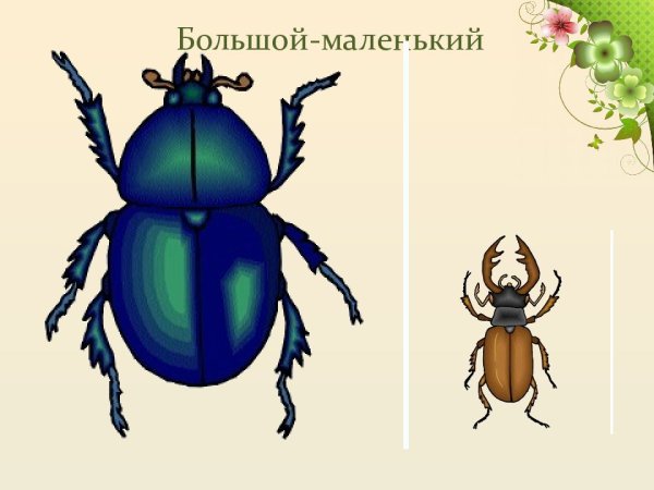 Большой и маленький Жук