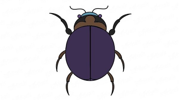 Жук рисунок