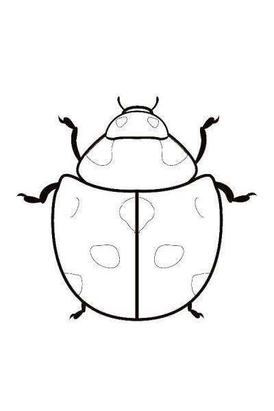 Жучок раскраска для детей