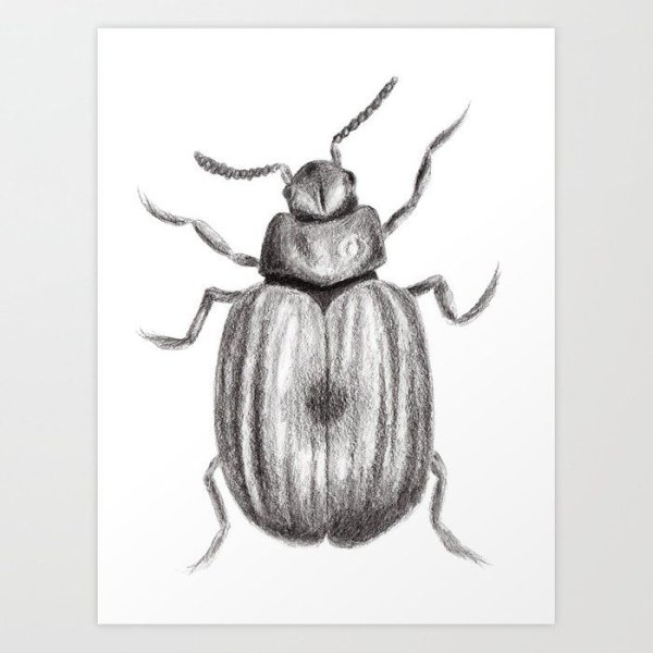 Жук трафарет