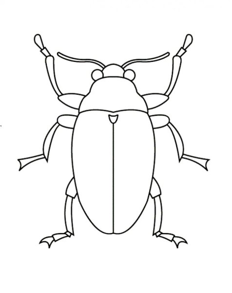 Жук раскраска для детей