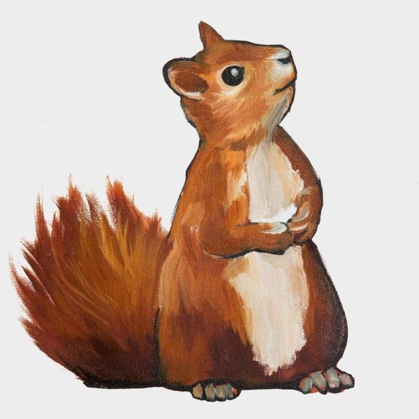 Белка рисунок