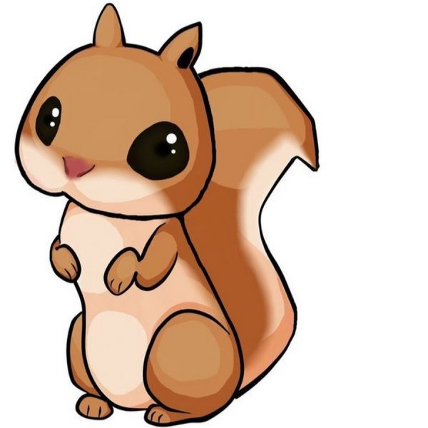 Белка для детского сада