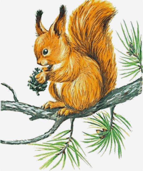 Белка с шишкой для детей