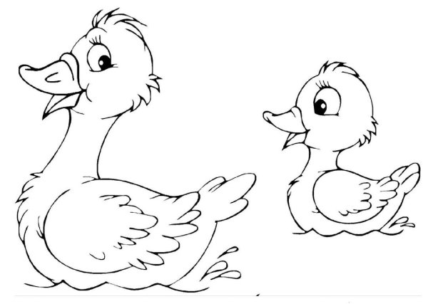 Раскраска уточка