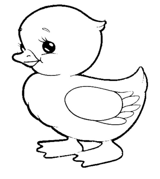 Раскраска уточка