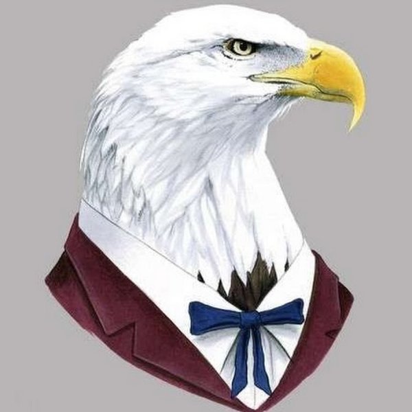 Белоголовый Орлан фурри