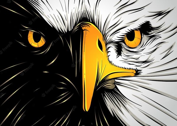 Орел вектор арт