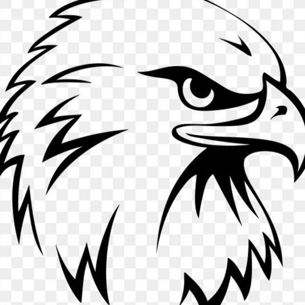 Голова орла раскраска