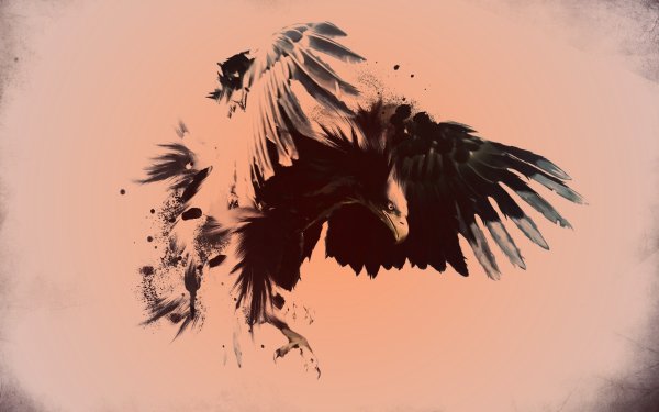 Орел красивый арт