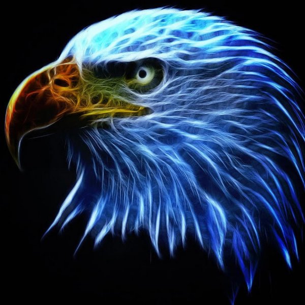 Крутой Орел