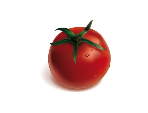 Помидор рисунок