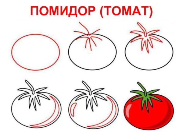 Макеты овощей для вырезания