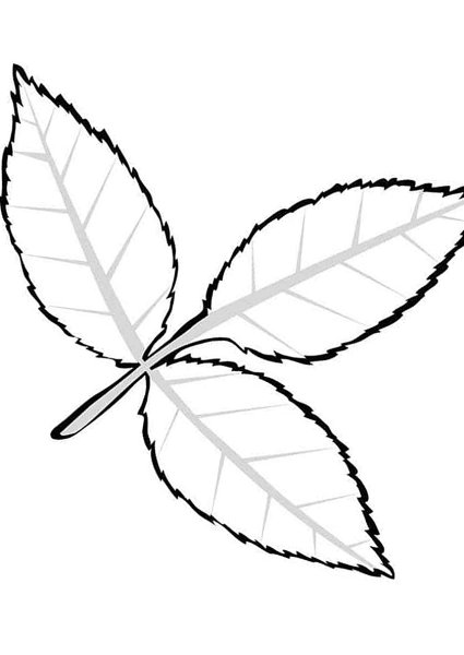 Листок раскраска