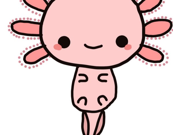 Аксолотль Кавайи