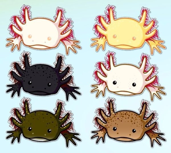 Полумультяшный аксолотль