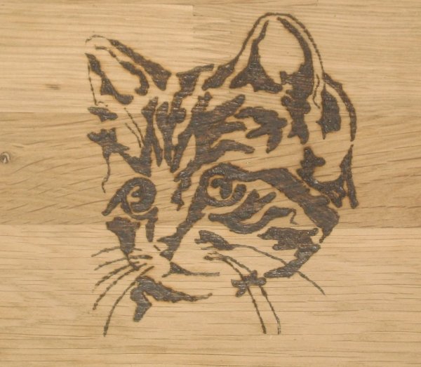 Гравировальный станок для выжигания по дереву