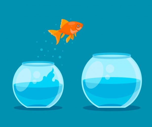 Аквариум без рыбок