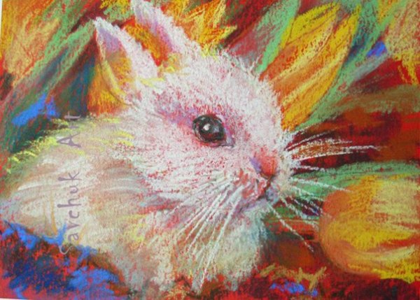 Птицы пастелью сухой