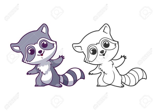 Енотики маленькие раскраски