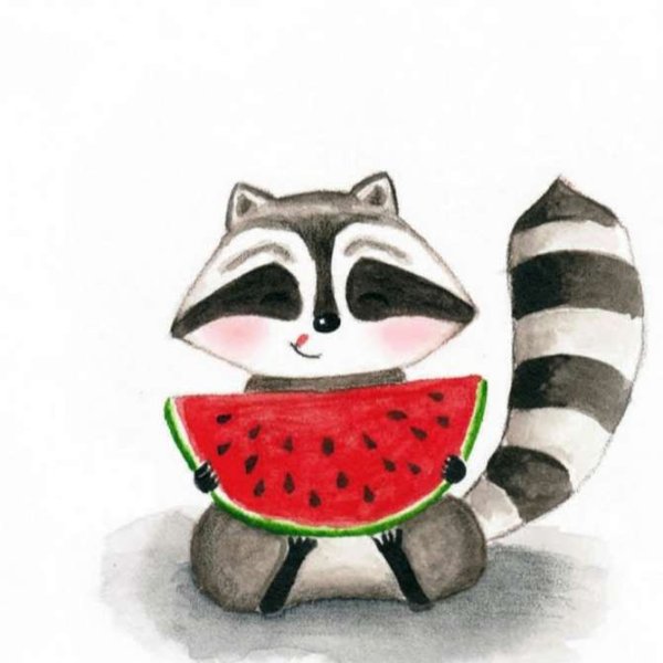 Енот рисунок