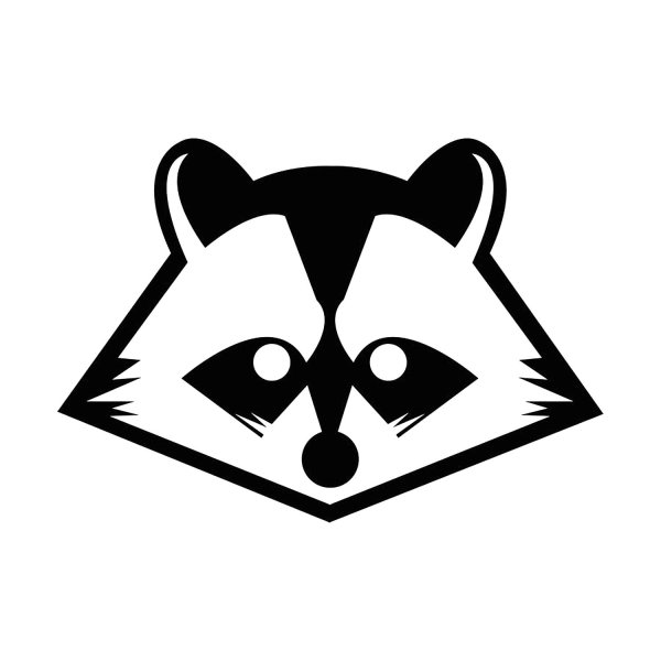 Енот черно белый