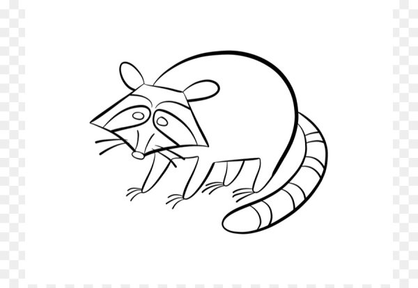 Енот рисунок для детей