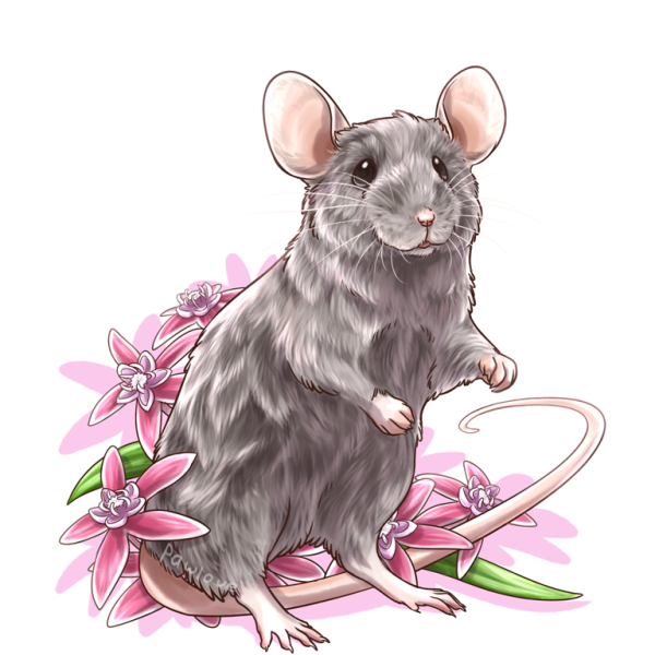 Крысиная морда