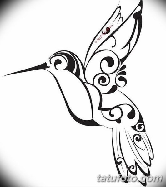 Стилизованные изображения птиц