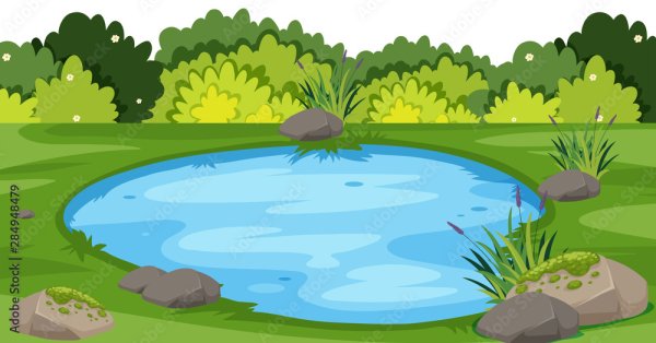 Озеро в парке вектор