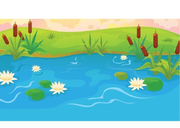 Сказочное болото с камышами