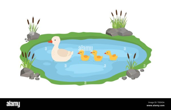 Утки на пруду вектор