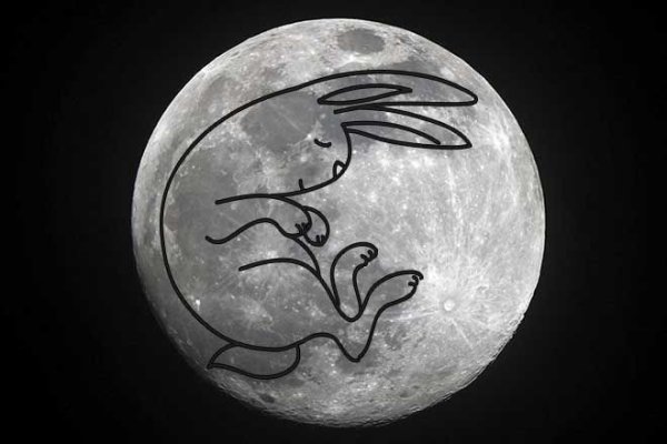 Волк ночь Луна