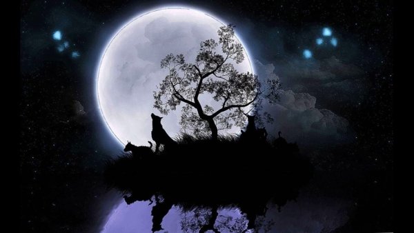 Сказочная Луна