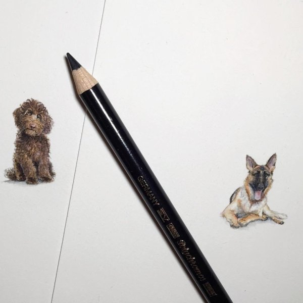 Скетч рисунки гелевой ручкой