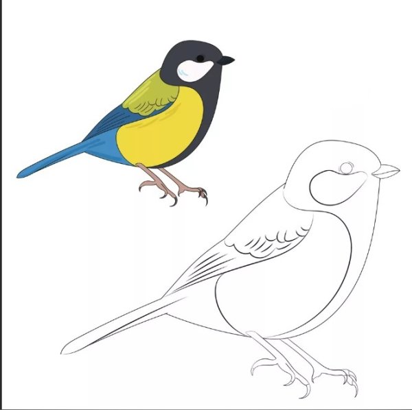 Птица рисунок