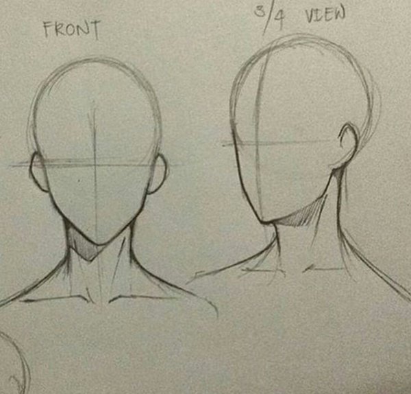 Голова 3/4 референс аниме