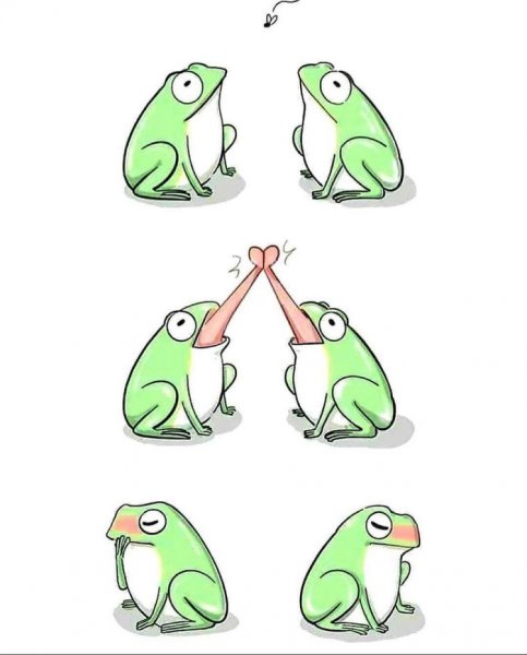Милые лягушки для срисовки