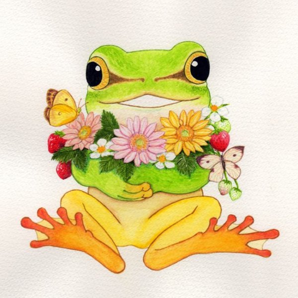 Рисунок лягушки для срисовки