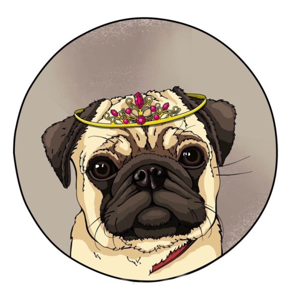 Мопс с короной